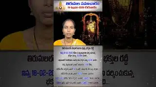 #Tirumala 19 FEB 2026 | Number of Devotees & Darshan Time | TTD Today Updates | #Shorts | #Tirupa...