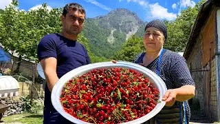 The Ultimate Cherry Season Feast! 🍒 Grandma’s Sour Cherry Jam, Cake & 