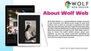 Top Website Design Company San Francisco, USA  | Wolfweb design