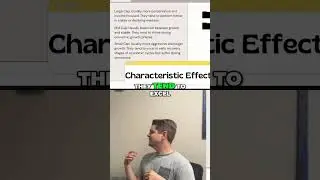 Small, Mid, or Large Cap? Investing Strategy REVEALED!