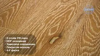 Выбор стильного паркета. Паркетная доска Galathea Italian ДУБ CASA
