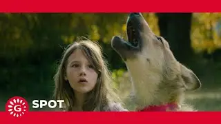 MYST&Egrave;RE - Actuellement au cin&eacute;ma (spot 6 sec)