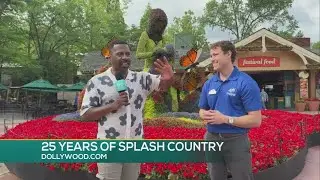 25 Years Of Splash Country