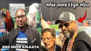 Kolkata's Large Bird Show: A Celebration of Avian Life