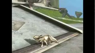 Aion transformation forms