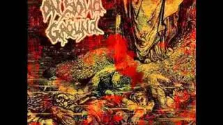 On Solid Ground - Hope For Despair