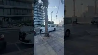 😍#palmjumerah#dubai#amazingdubai #palmeiras #yt#youtubeshorts #youtueshort #short#ytshorts#trending