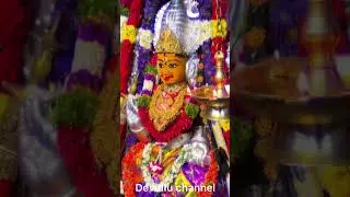 కాత్యాయని దేవిగా శ్రీ విద్యా సరస్వతీ అమ్మవారు #navaratrispecial