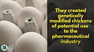 Genetically Modified Hens for Drug Production l Learn with Labmonk l Part - 2