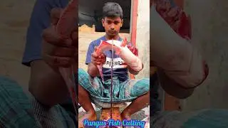 Incredible Giant Big Pangas Fish Cutting Techniques | Fish Cutting Skills