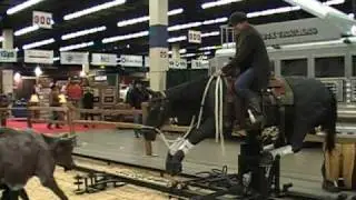 Lannie Ashley's Mechanical Horse and Cow