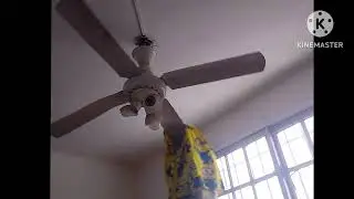 Minion fan