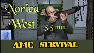 Norica West 5.5 mm  (.22)