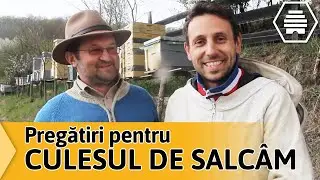 Cum si când se pregatește Mihai Grama pentru CULESUL MIERII DE SALCÂM