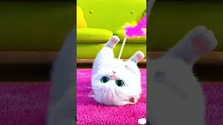 🤯 OMG 😱 CATS WALA VIDEO 🎈 #trending #cats #video #shorts #cartooncat #cute #shortsviral #shortsfeed