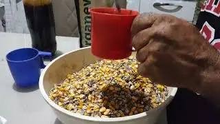 preparando vitamina para os pombos