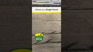 SOLD! One-Chance Sealed Bid Sale! 61.58 Acres, m/l, Steele County, MN