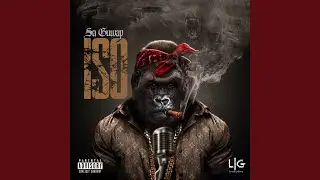Iso