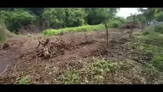 En misolar sipotes asciendo le La limpieza 😅 con todo los power 