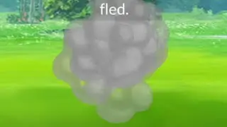 Oh no! The wild Pokemon fled #pokemongo