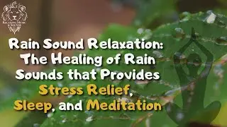 Rain Sound Relaxation: The Healing of Rain Sounds that Provides Stress Relief, Sleep, and Meditation