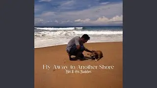 Fly Away to Another Shore