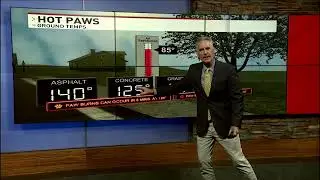 Hot Temperatures and Hot Paws....Keep You Dog Safe From Hot Surfaces