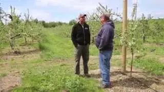 Al Rose | Red Apple Farm | Phillipston, Massachusetts