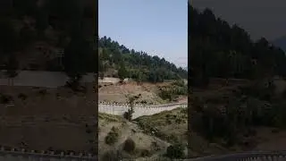 *running #morning #workout #nature #mountains #forest #trees #calm #peace #happiness #serenity #fun