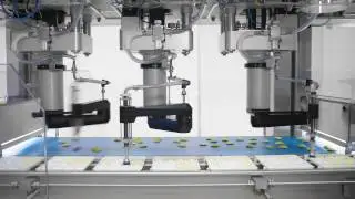Picker line from Schubert for the fully automatic packaging of deep frozen food