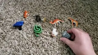 The Animal Competition Episode 5.