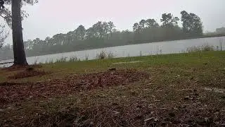 First Winter Rain