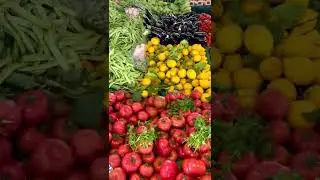 🥗 Start Your Own Fresh Food Franchise &ndash; Healthy Bites, Big Returns!