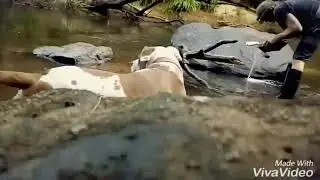 Digging deep holes for gold using the Phat-Boy sluice