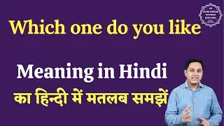 Which one do you like meaning in Hindi | Which one do you like ka matlab kya  hai | English to hindi