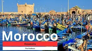 Port of Essaouira #morocco #essaouira #trending #trendingnow #trendingvideo #ytvideo #visitmorocco