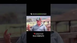 Ubre &eacute; o que faz uma vaca ser campe&atilde; #gado #agro #vaca #fazenda #pecuarista