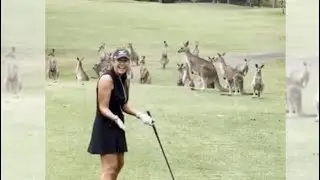 Kangaroos mob golfer in Australia 🦘🇦🇺 | Wendy Woo Golf