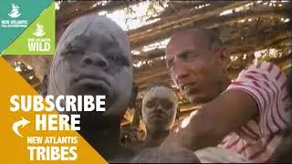 Extinction risk of Karo community1