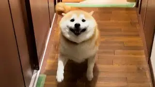 Shibe said the name of the technique before performing a powerful move.