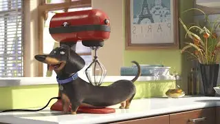 The Secret Life of Pets: Unleashed Android Walkthrough - Gameplay Level 41