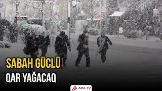 Yanvarın 17-də gözlənilən hava proqnozu açıqlandı | APA TV