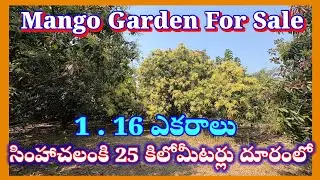 Mango Garden for Sale | 1.16 Acres Agricultural Land | Best Investment Near Visakhapatnam,