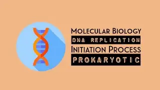DNA replication | Initiation process | Molecular Biology