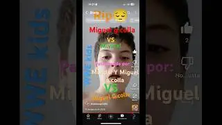 MIGUEL G.COLLA VS MIVIDA!