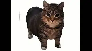 NEXTIME - CВЕТЛАНА! БЕЗ МАТА (Remix Uia cat)