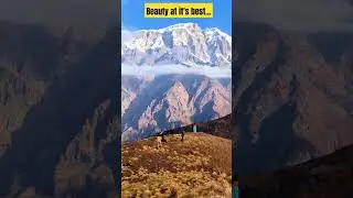 Beauty at it's best...#koridandatrekking #trekkinginnepal #nepalitiktok #foryoupage #trendingshorts