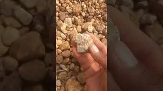 Rockhounding - Finding world agate texture, rock collecting
