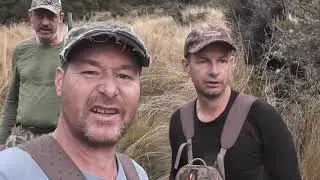 Hunters culling deer. Over population of deer require hunters to cull inferior animals