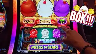 37 JACKPOT FREE GAMES at 7X TRIPLE POP!!! 🐔🐔🐔 Rich Little Hens!!!